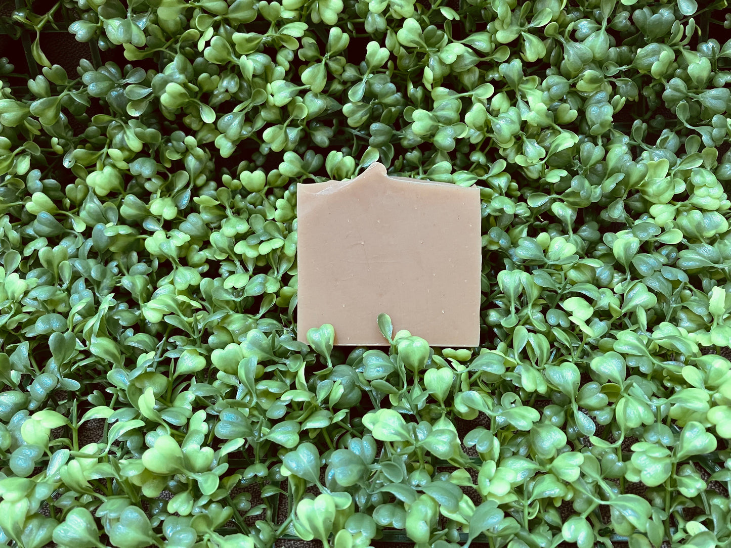 *SEASONAL* Fireside Soap