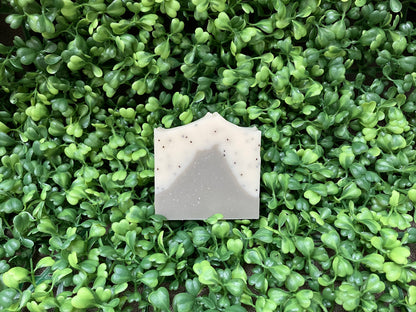 *SEASONAL* Frost Soap